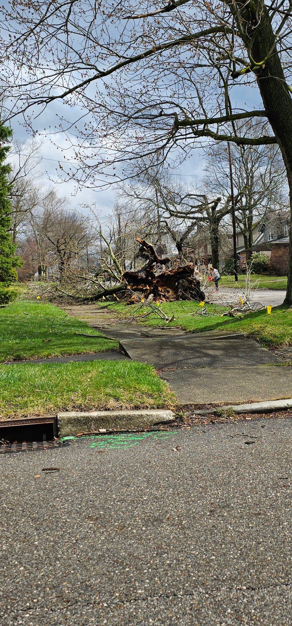 April 1 Severe Thunderstorms and High Winds